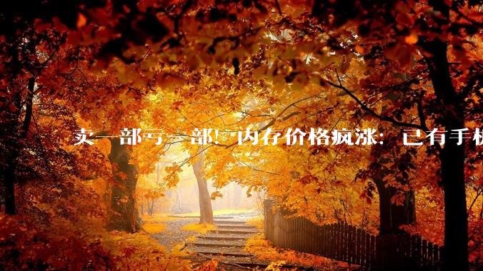 卖一部亏一部！内存价格疯涨：已有手机品牌暂停下一代旗舰项目_的冲击_的成本_行业